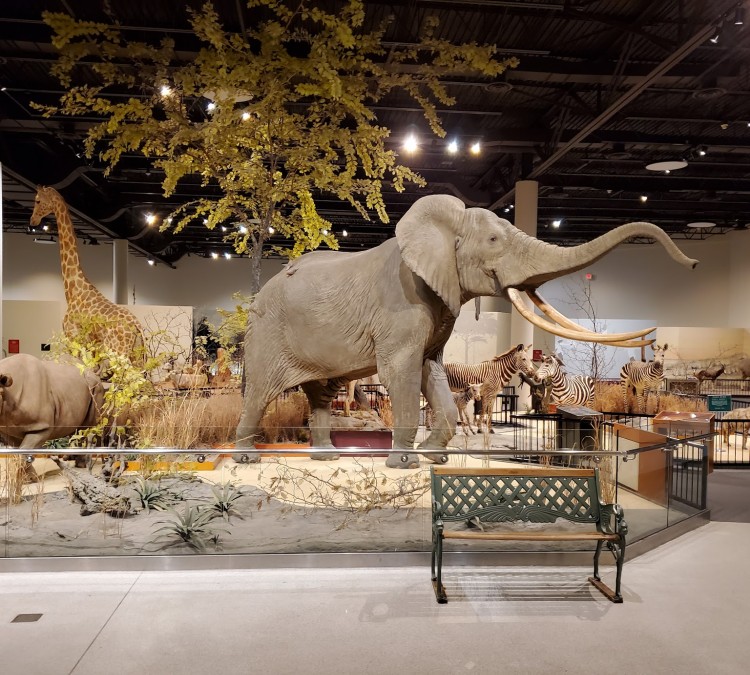 Great Plains Zoo & Delbridge Museum of Natural History (Sioux&nbspFalls,&nbspSD)